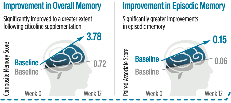 Citicoline Supports Memory in Healthy Older Adults