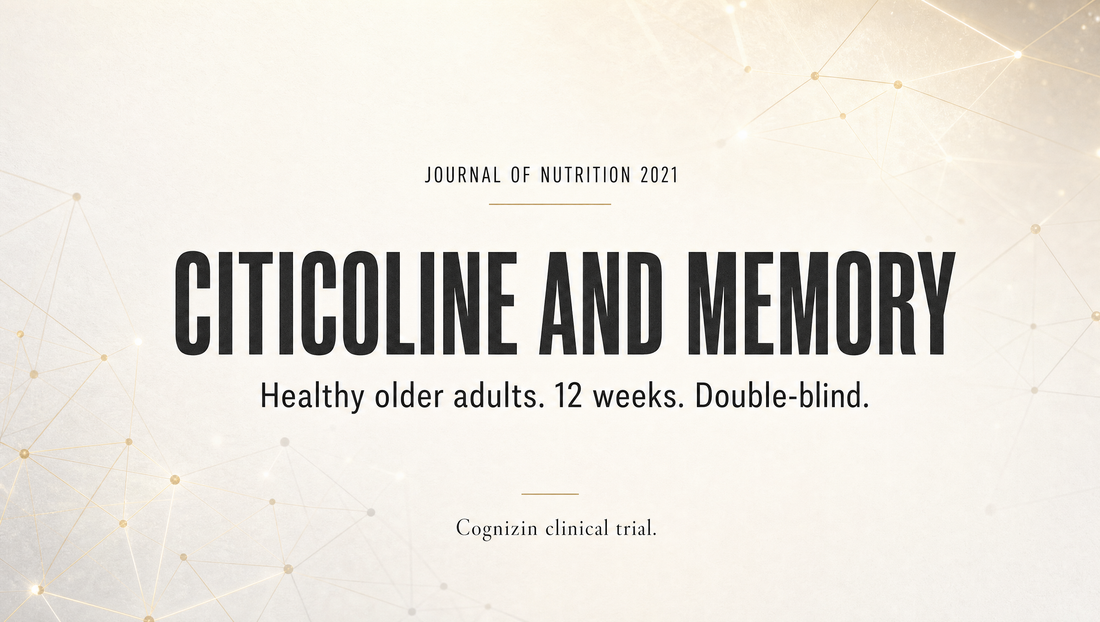 Citicoline Supports Memory Function in Healthy Older Adults