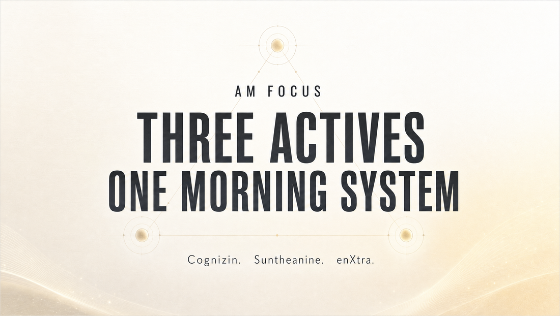 Three Actives. One Morning System. | AM Focus