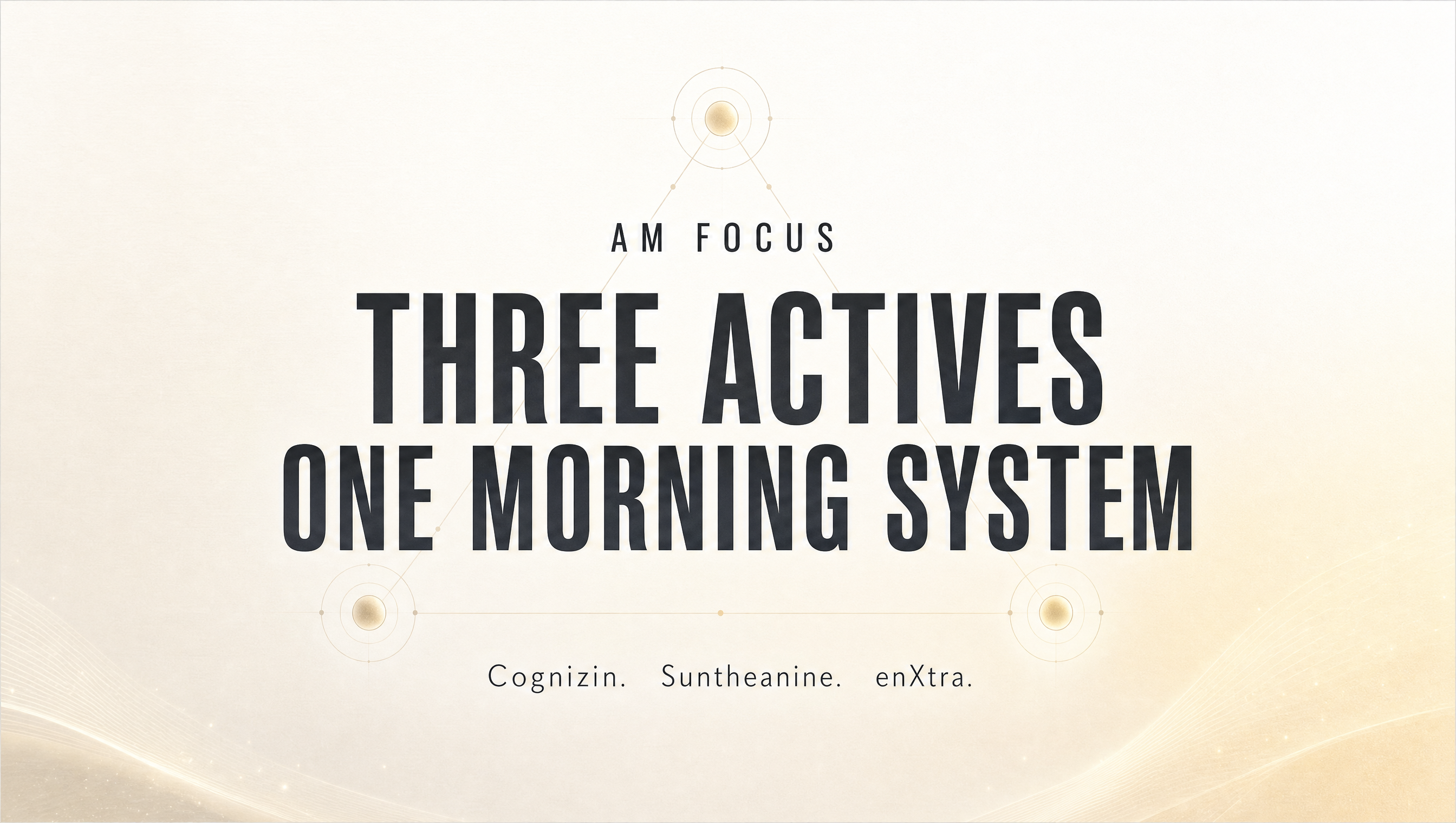 Three Actives. One Morning System. | AM Focus